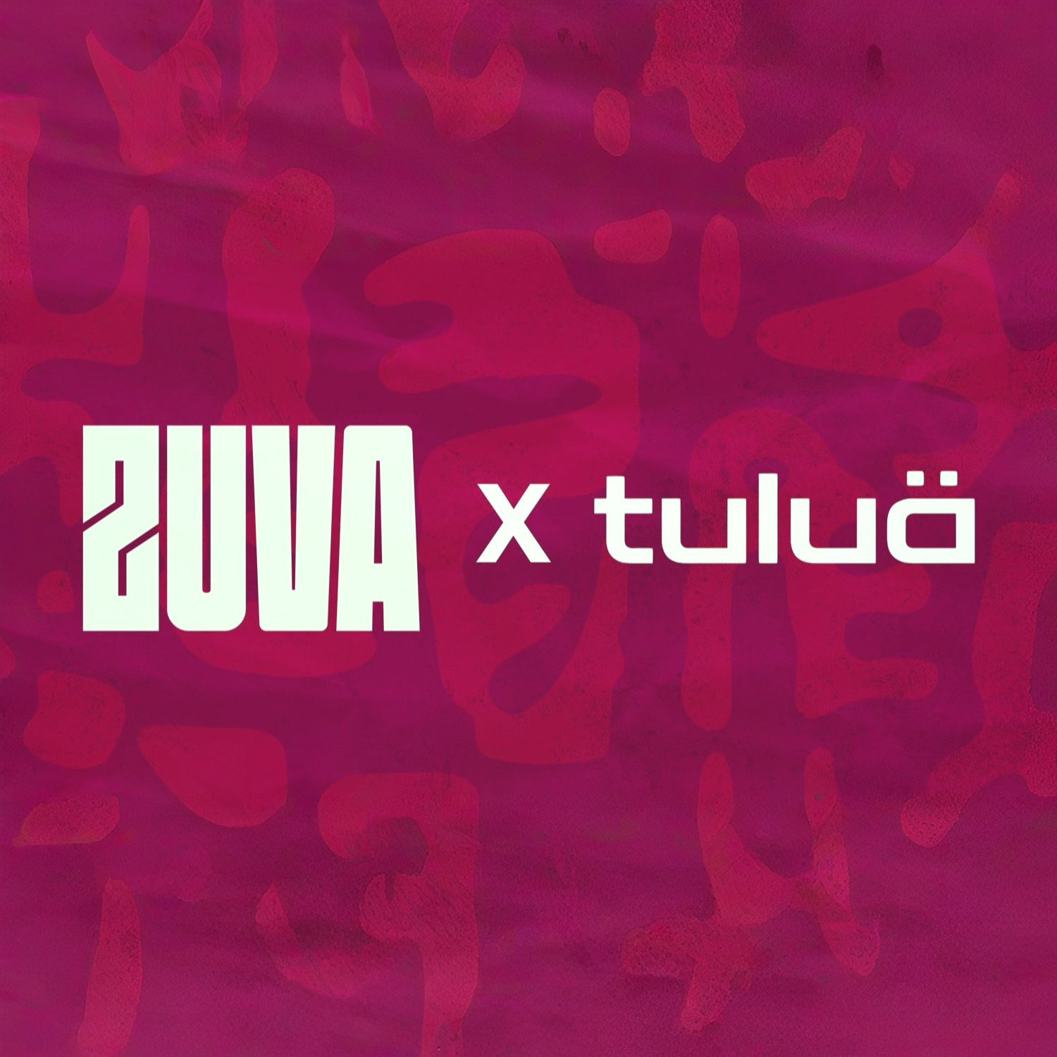 Zuma at Ocean Beach on Monday, August 10, 2026