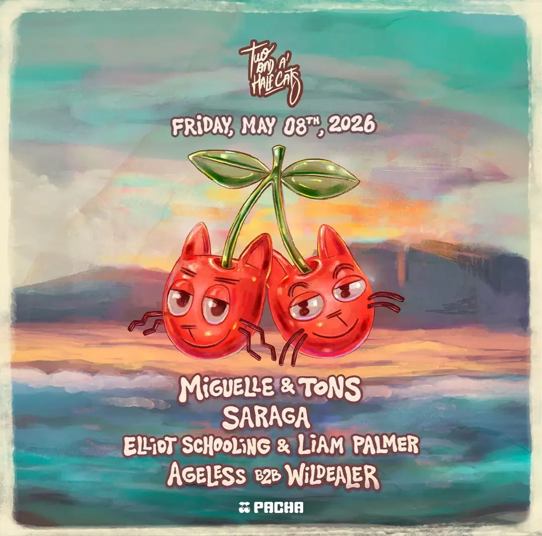 Two and a Half Cats at Pacha