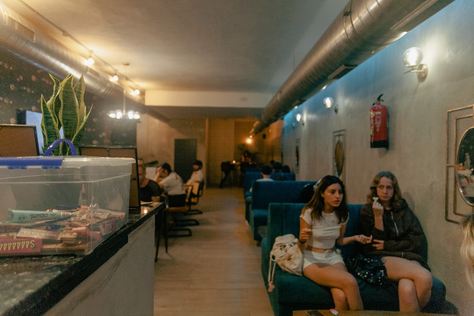 Photo: The High Class Ibiza Weed Club via Google