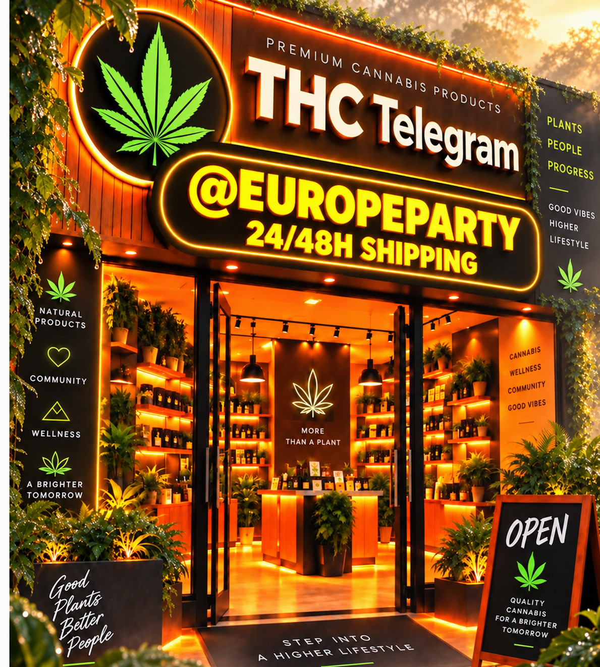 Barrio 13 Social Club Ibiza — Smoke Shop in Ibiza Town, Ibiza