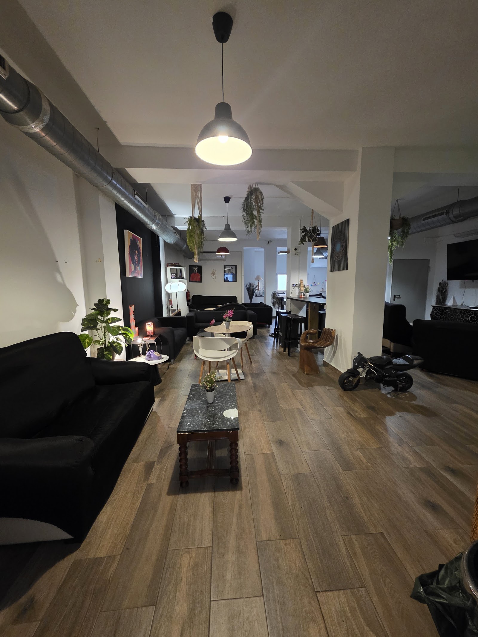 Jungle Boys Weed Club Ibiza — Smoke Shop in Ibiza Town, Ibiza