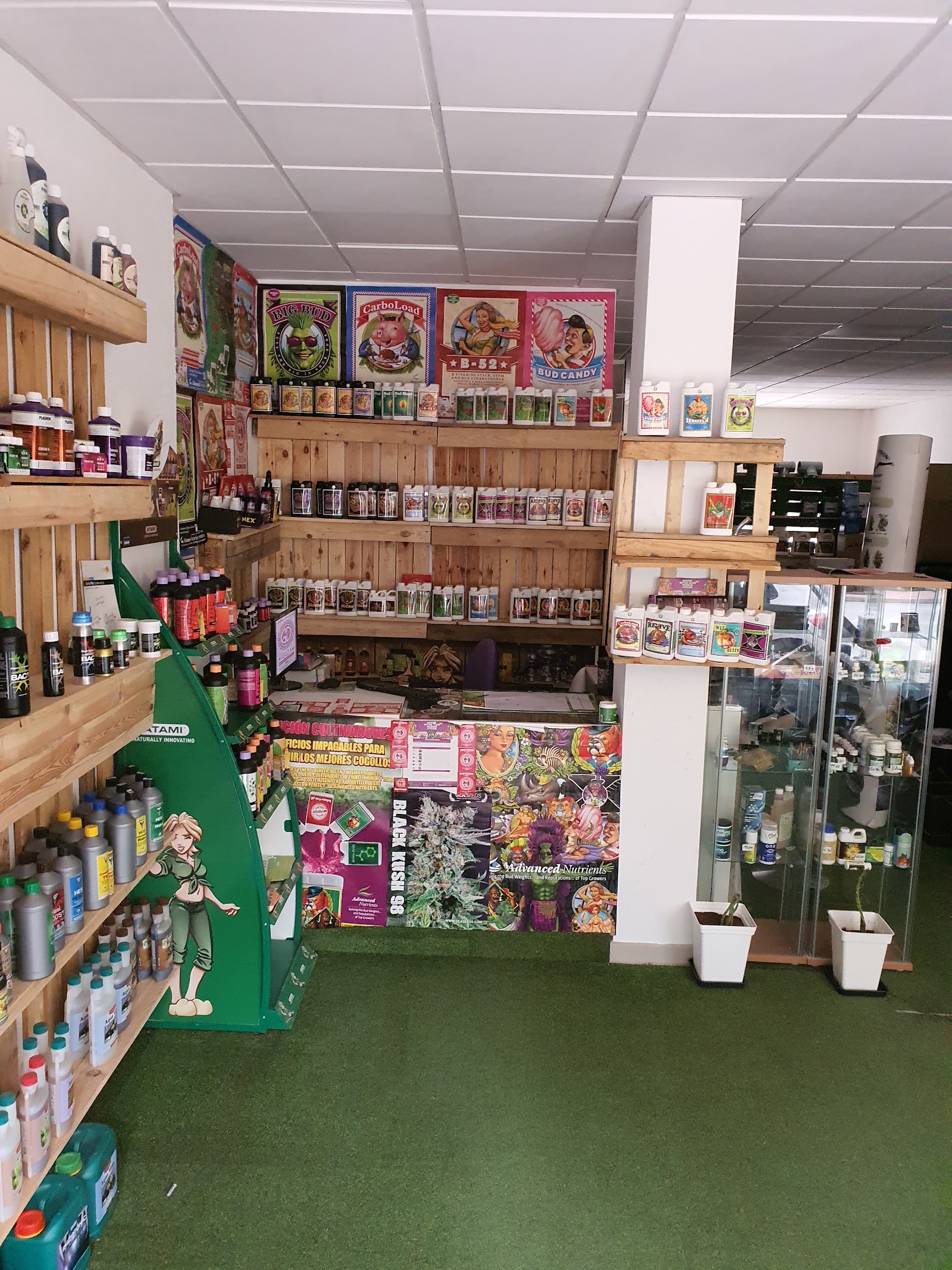 GROW-SHOP SATIVA IBIZA — Smoke Shop in San Antonio, Ibiza