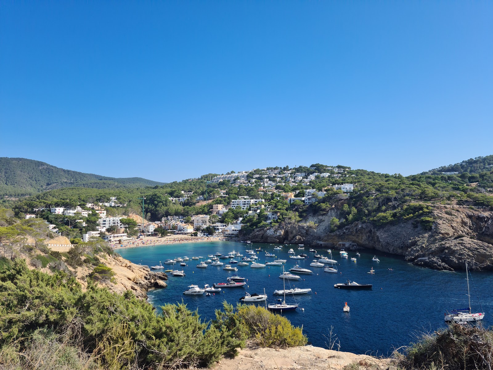 Photo: Manola DN via Google