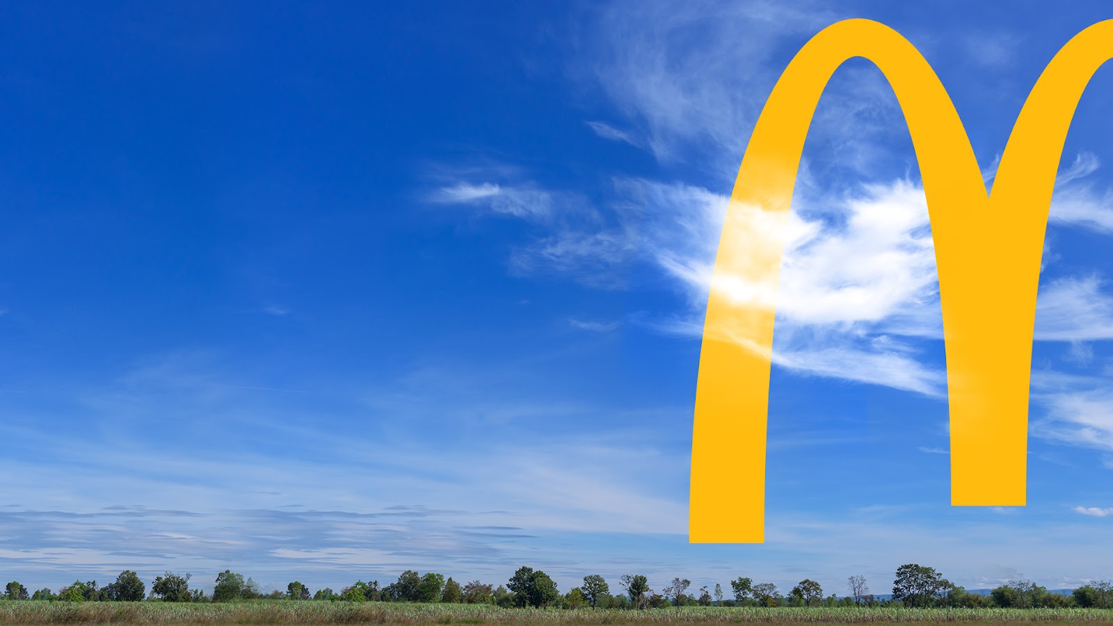 McDonald's — photo