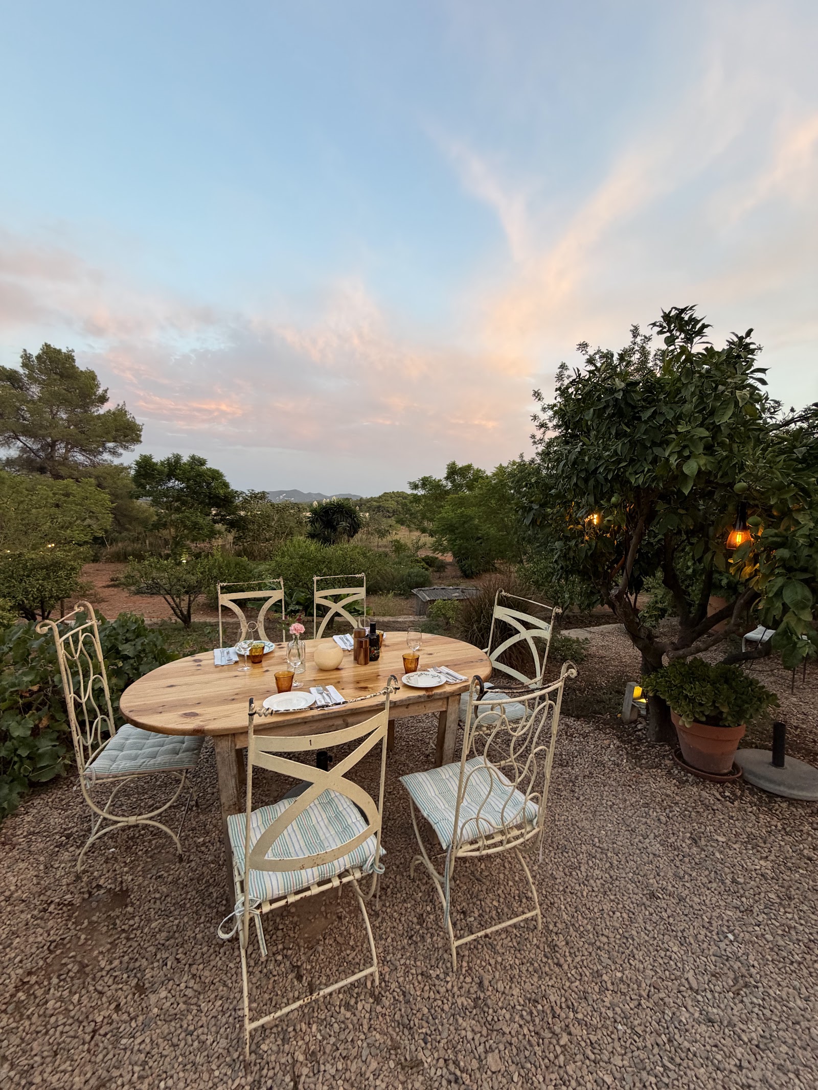 La Paloma — photo