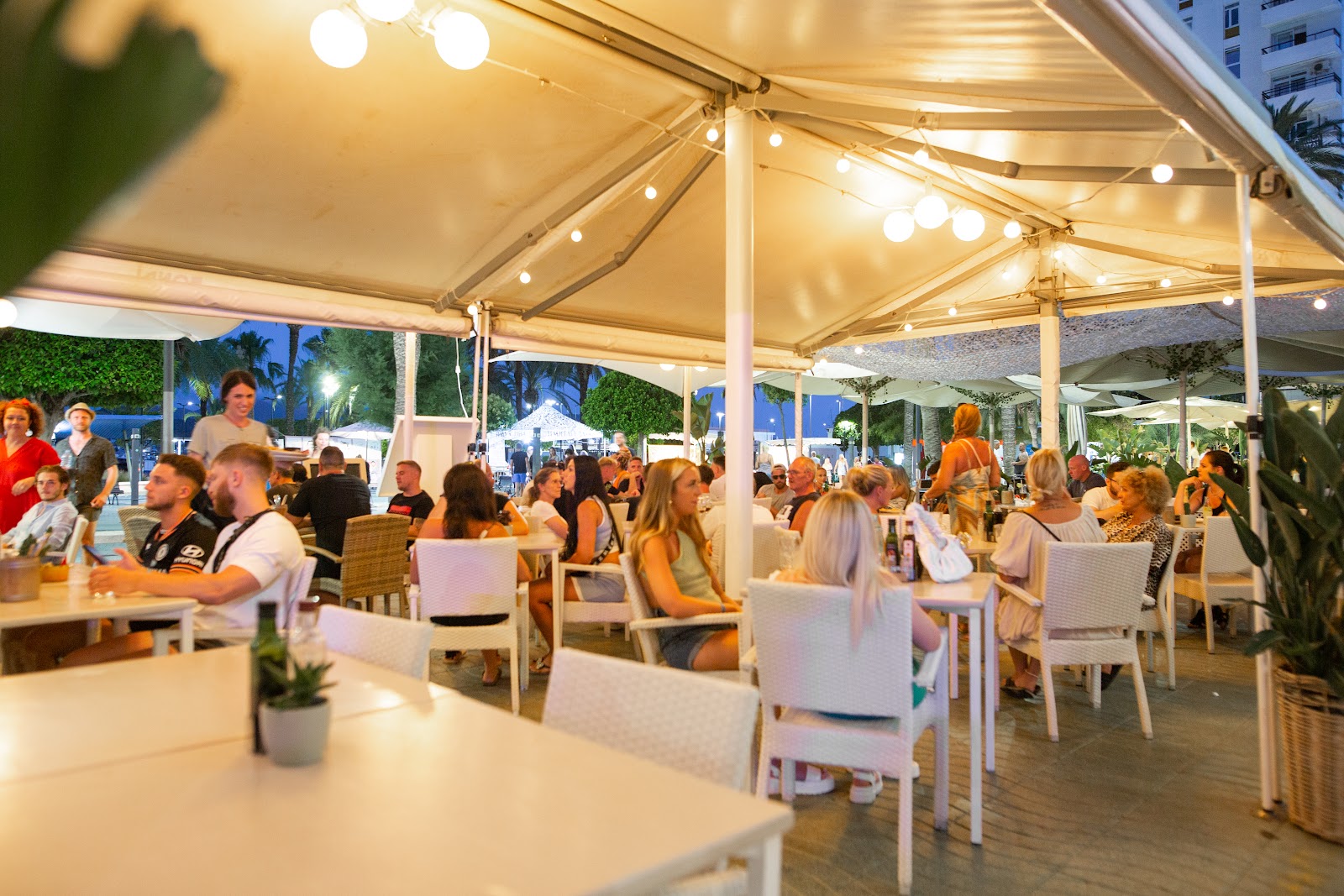 Bondi Ibiza — Bar in San Antonio, Ibiza