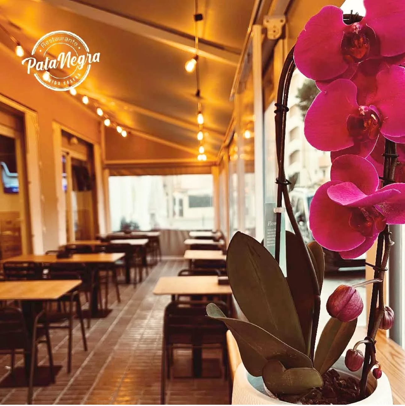 Bar Pata Negra — Restaurant in Ibiza Town, Ibiza