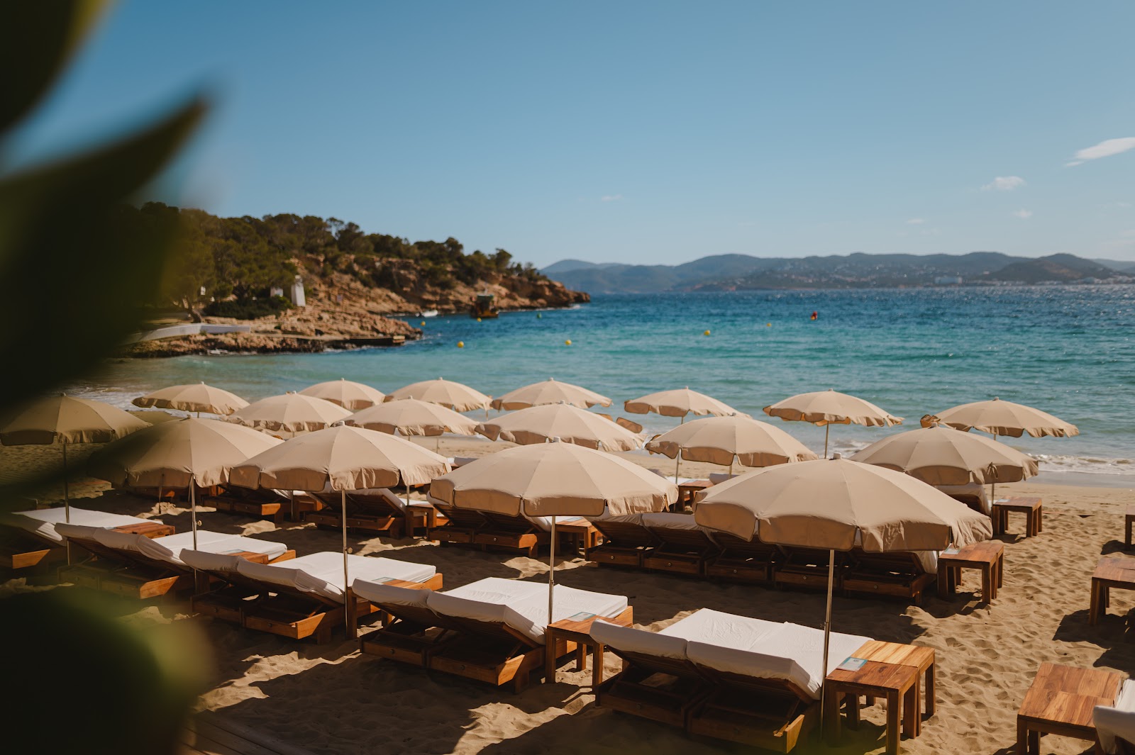 Photo: Cala Bassa beach Club via Google