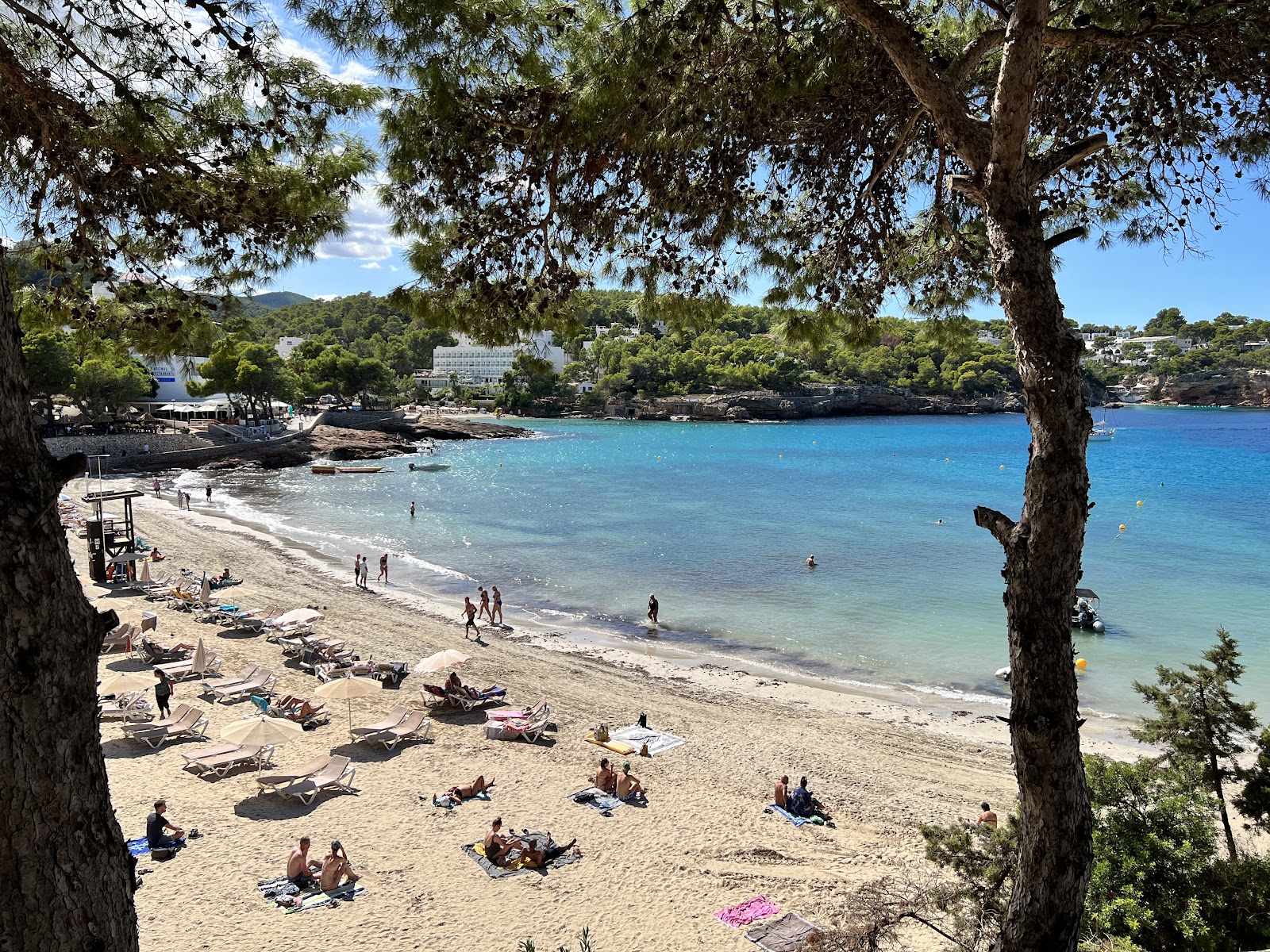 Portinatx Beach — Beach in Portinatx, Ibiza