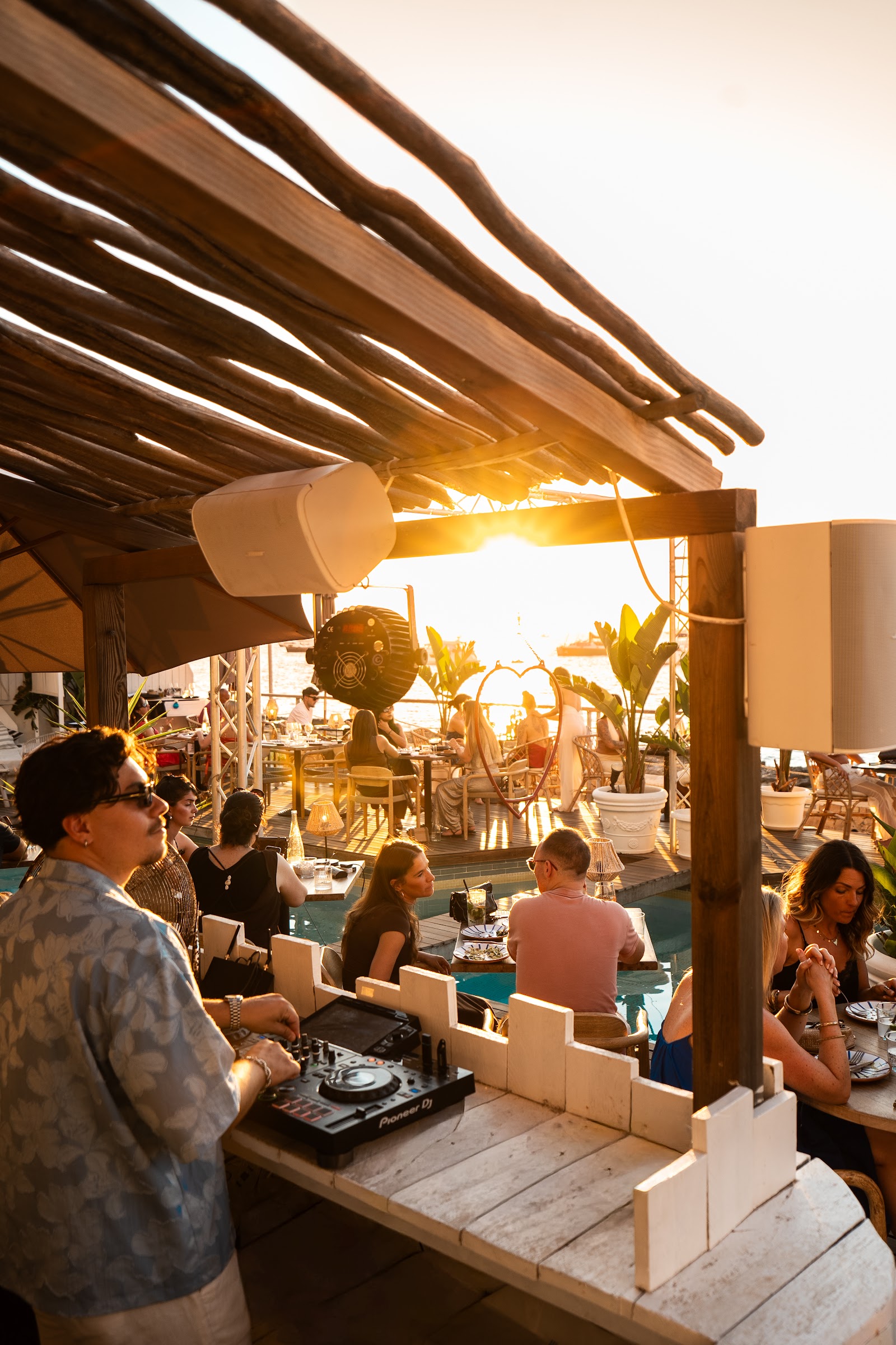 Monkey — Restaurant in San Antonio, Ibiza