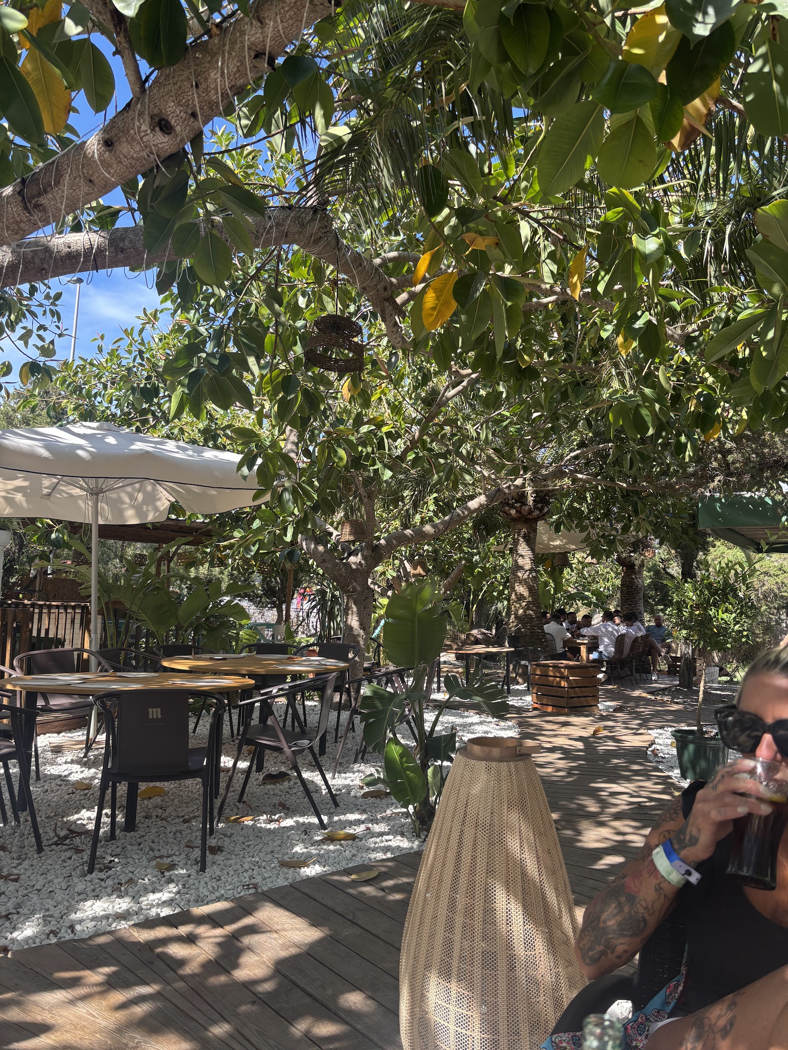 Natural Pau — Restaurant in San Antonio, Ibiza