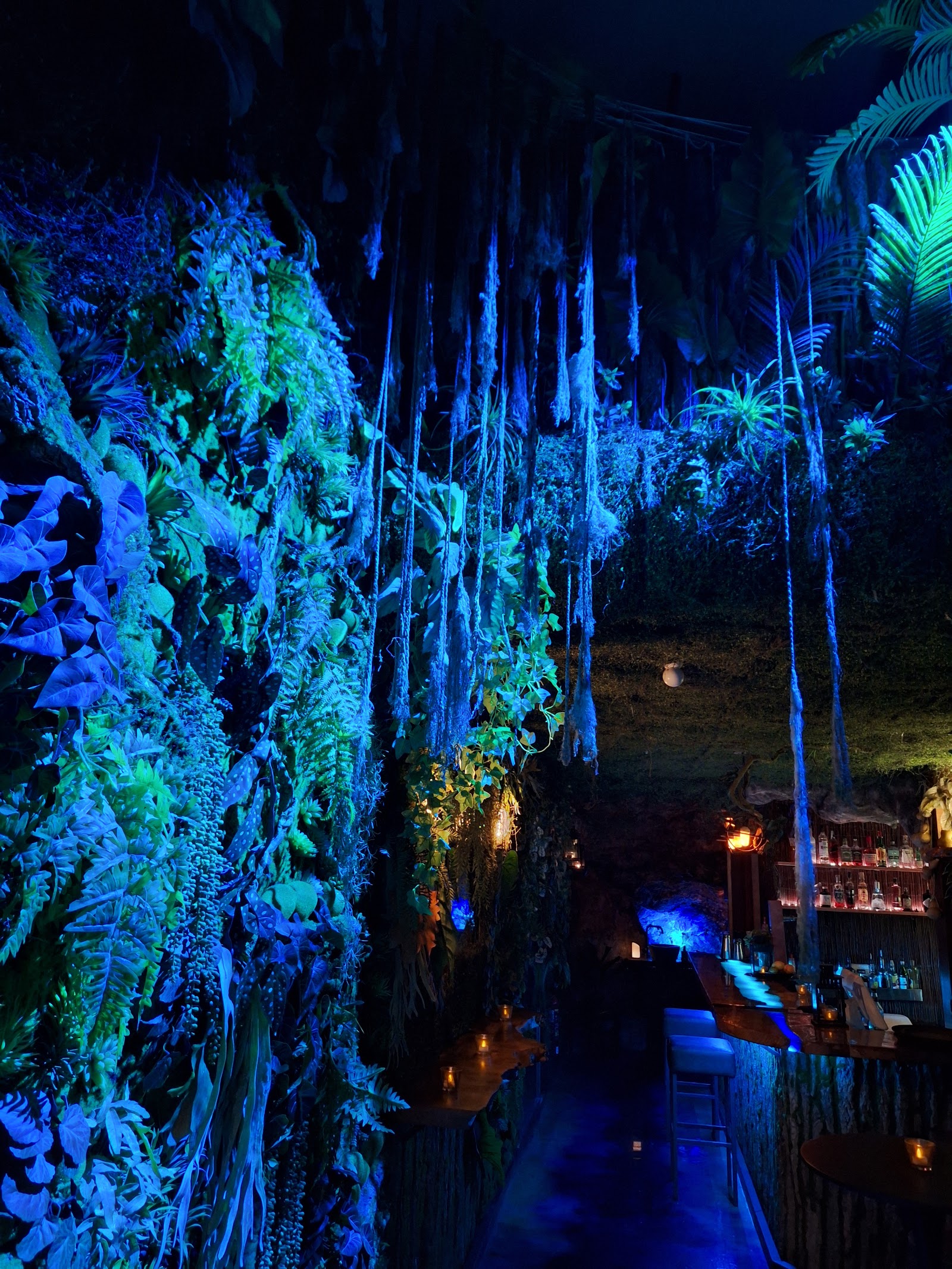Cenote Bar — photo