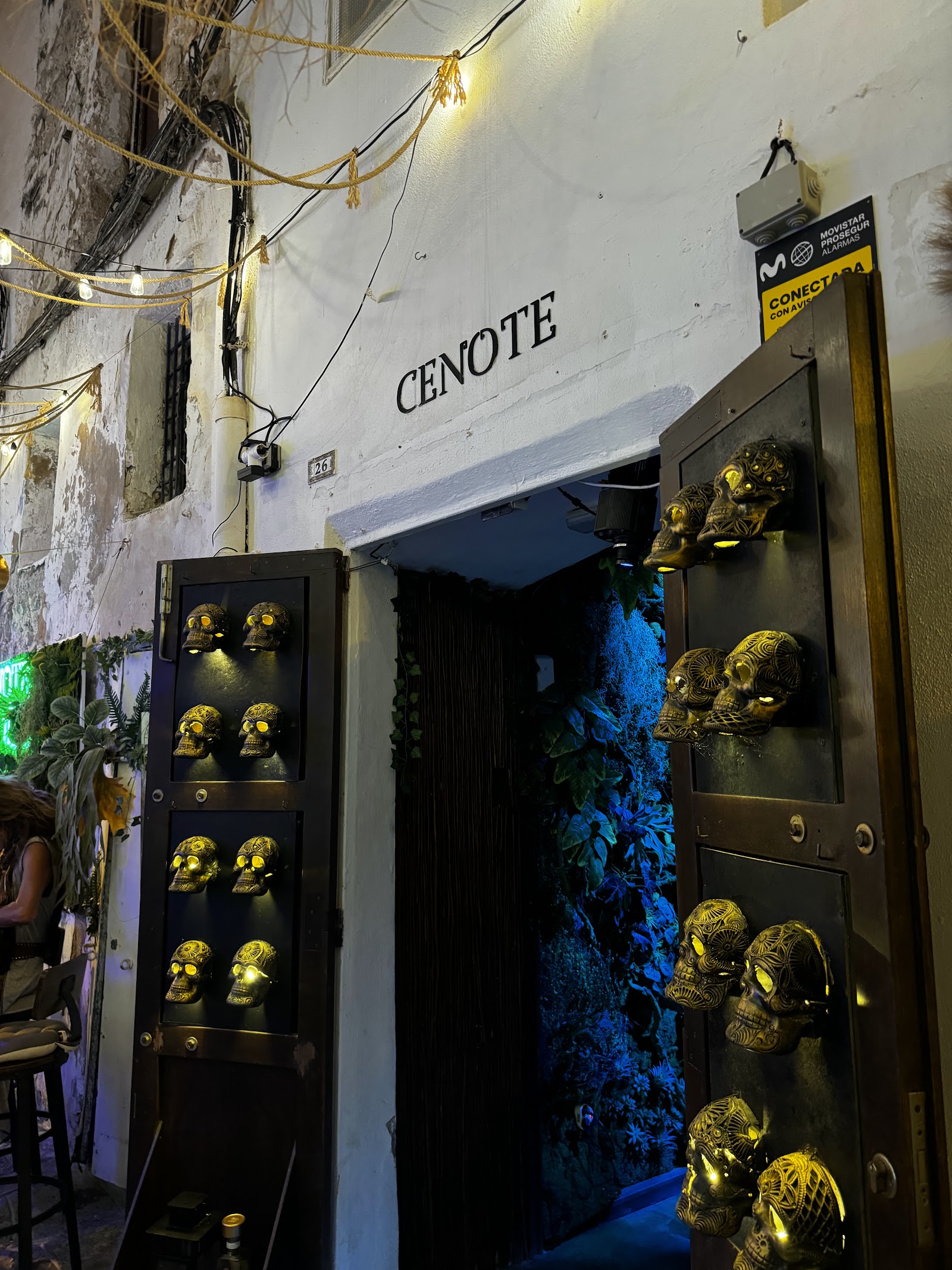 Cenote Bar — photo