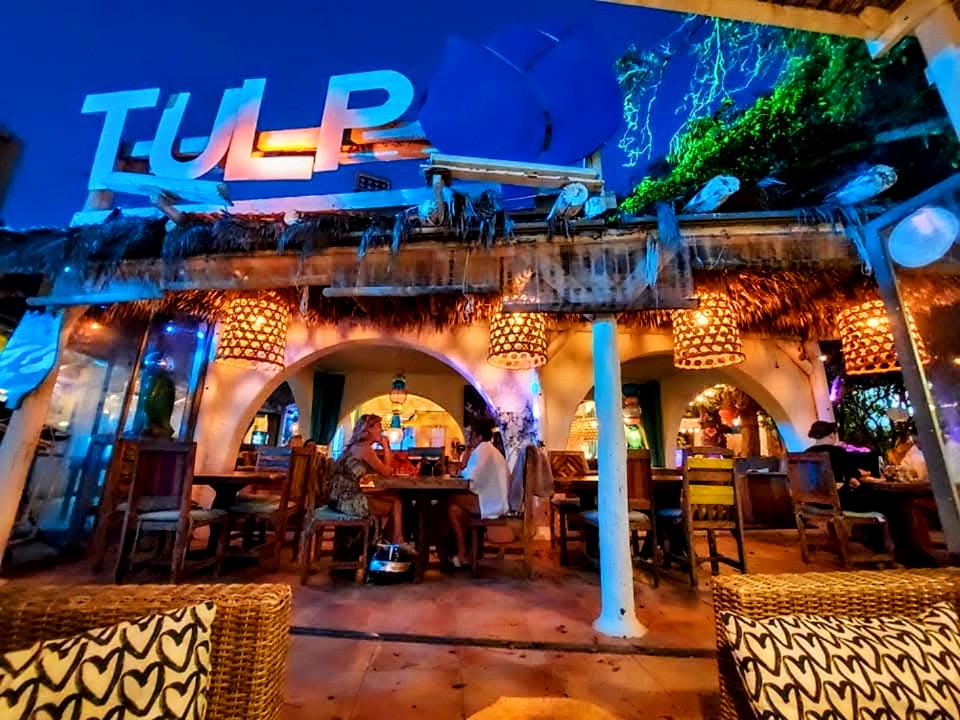 Tulp — Bar in San Antonio, Ibiza
