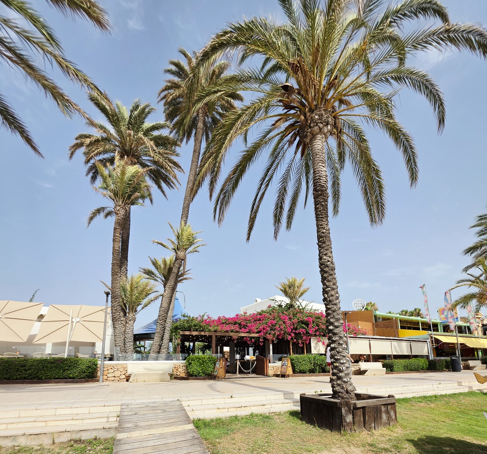 Ibiza Rocks Bar — photo