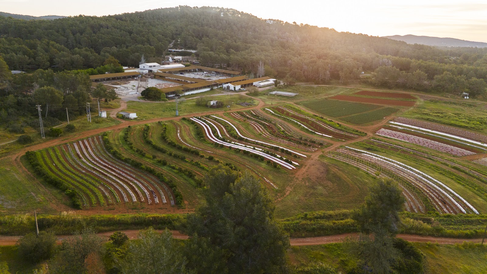 Photo: Juntos Farm via Google