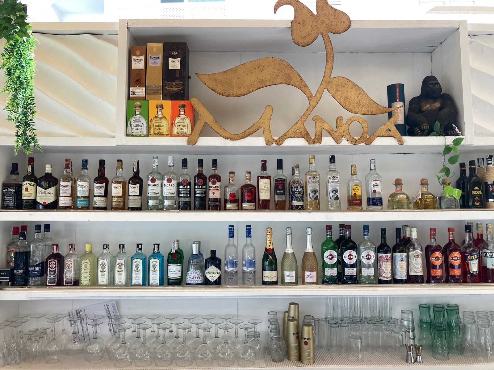 Manoa Ibiza — Bar in Playa d'en Bossa, Ibiza