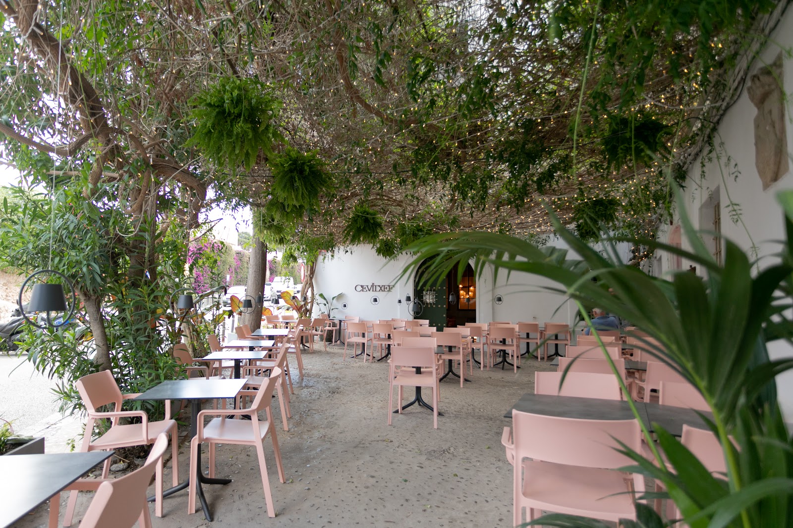 Cevitxef Ibiza — Restaurant in Ibiza Town, Ibiza